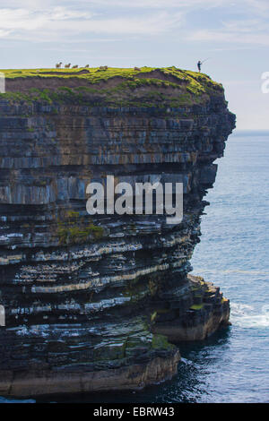 angler on a steep coast over a guillemots colony, Ireland, County Mayo, Downpatrik Head Stock Photo