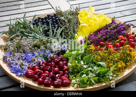 platter with late summer flowers and fruits , Germany Stock Photo