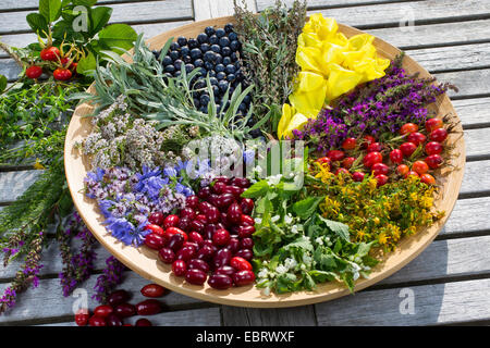 platter with late summer flowers and fruits , Germany Stock Photo