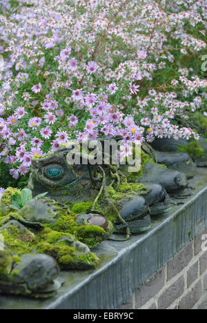 mossy garden shoes on a wall in garden Stock Photo