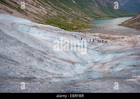 glacier travelling on Nigardsbreen, a glacier arm of Jostedalsbreen glacier, Norway, Jostedalsbreen National Park Stock Photo