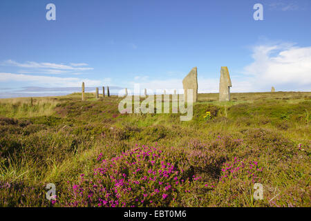 Ring of Brodgar neolithic henge , United Kingdom, Scotland, Orkney, Orkney Mainland Stock Photo