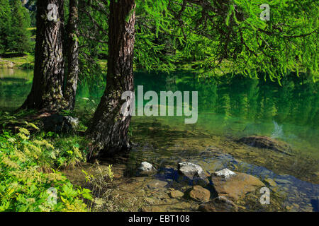 Lake Palpuogna at the Albula Pass, Switzerland, Grisons Stock Photo