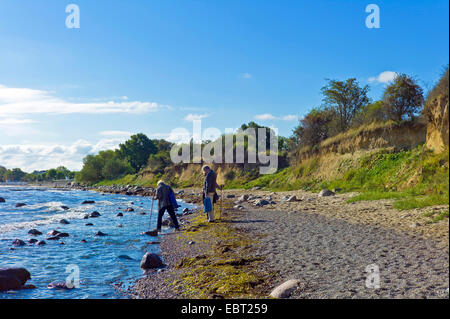 steep coast of the Baltic Sea near Boltenhagen, Germany, Mecklenburg-Western Pomerania, Redewisch Stock Photo