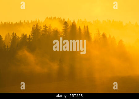 Creux du Van at the Neuenburger Jura at sunrise, Switzerland, Neuenburg Stock Photo