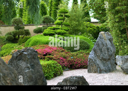 Azalea (Rhododendron obtusum), blooming in a Japanese garden Stock Photo