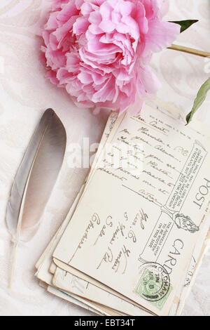 Beautiful pink peony with old postcards romantic background and birds feather, artistic composition Stock Photo
