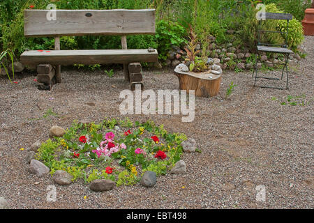 common lady's-mantle (Alchemilla vulgaris), wooden bench in front of flower arrangement in the shingle with blossoms and petals of rose, common poppy, lady's mantle and garden loosestrife, Germany Stock Photo