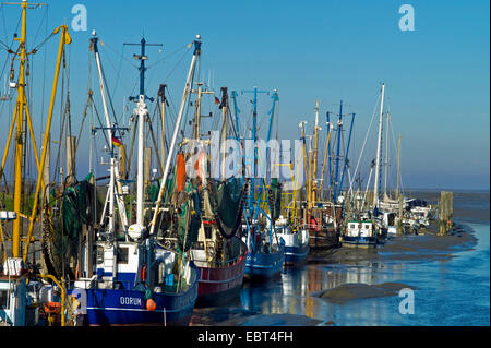 shrimp boats in harbour at low tide, Germany, Lower Saxony, Dorum Neufeld Stock Photo