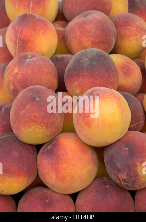 Juicy and ripe fresh peaches on display and ready for purchase Stock Photo