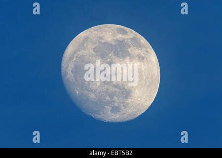 nearly full moon, Germany, Rhineland-Palatinate, Kreis Worms Stock Photo