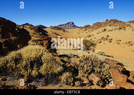 pumice stone and obsidian in vulcanic landscape, Mirador San Jose, Canary Islands, Tenerife, Teide National Park Stock Photo