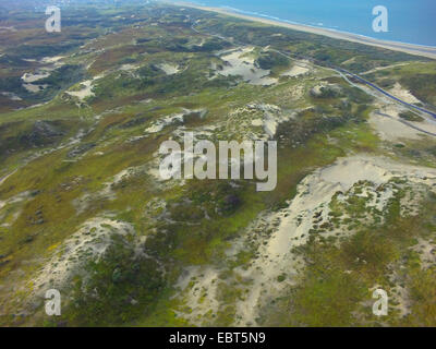 aerial view to grass-grown dune landscape at the North Sea Coast, Netherlands, Coepelduynen, Noordwijk aan Zee Stock Photo