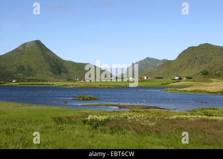 landscape near Leknes, Norway, Lofoten Islands, Vestvog°ya Stock Photo
