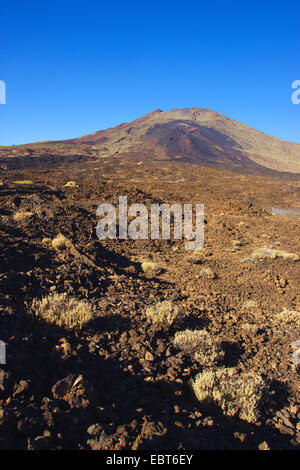 view from Mirador de Chiao to Pico Vieja with Narices del Teide, Ca±adas Caldera, Canary Islands, Tenerife, Teide National Park Stock Photo