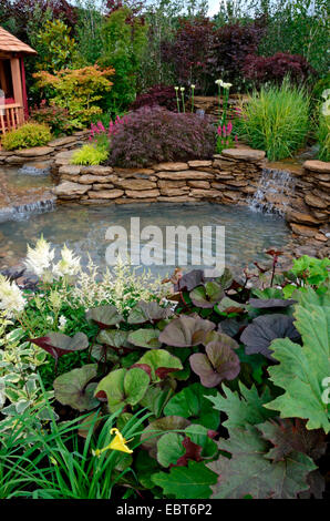 The pond area in a reflective aquatic garden with planted rockery and ...