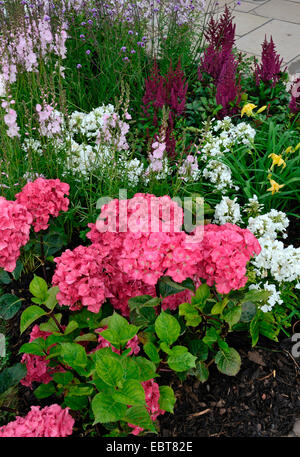 Close up of flowers in the border of a reflective garden Stock Photo
