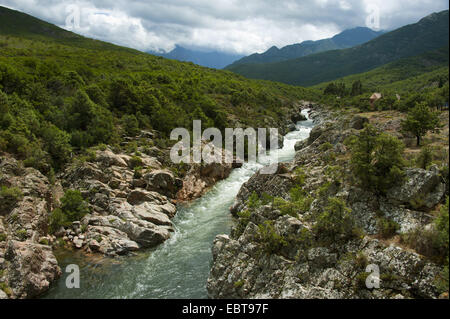 Fango river, France, Corsica Stock Photo