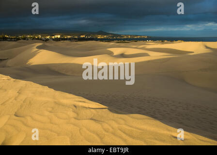 sand dunes at the edge of the coast town in the light of the evening sun, Canary Islands, Gran Canaria, Maspalomas Stock Photo