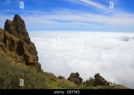 view from the Pico de las Nieves over the cloud cover below, Canary Islands, Gran Canaria Stock Photo