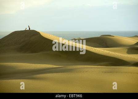 promenaders on sand dunes at the sea in the light of the evening sun, Canary Islands, Gran Canaria, Maspalomas Stock Photo