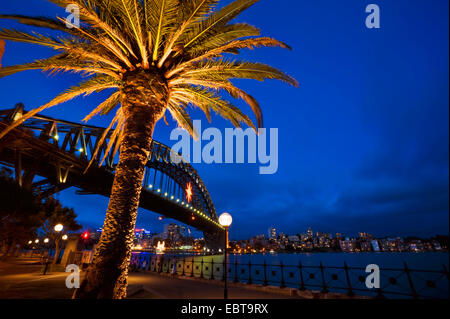 Harbour Bridge at Night with illuminated palm, Australia, New South Wales, Sydney Stock Photo