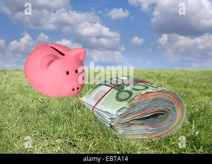 Pile of Euro banknotes and Pink Piggy bank on the meadow Stock Photo