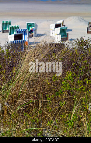 roofed wicker beach chairs on sandy beach, Germany, Lower Saxony, Wangerooge Stock Photo