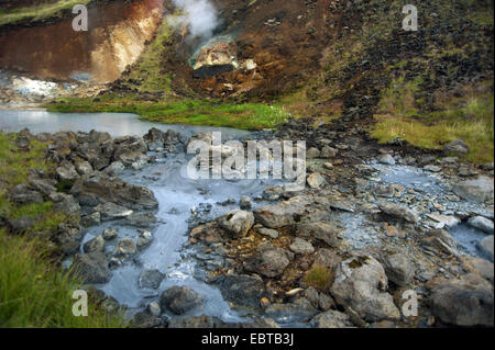 geothermal area and mudpots, Iceland, Hengill Stock Photo