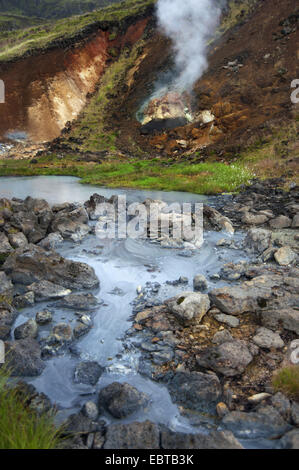 geothermal area and mudpots, Iceland, Hengill Stock Photo