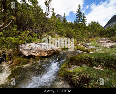 origin of Isar river, Austria, Tyrol, Karwendel Mountains, Hinterautal Stock Photo