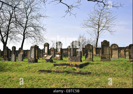 old jewish cemetery, Germany, Baden-Wuerttemberg, Krautheim Stock Photo
