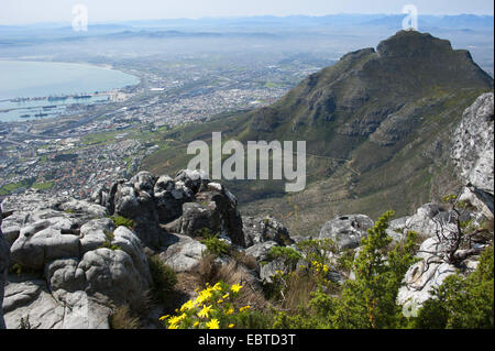 view from the Table Mountain over the city, South Africa, Western Cape, Capetown Stock Photo