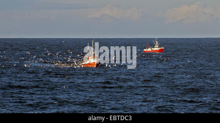 two fishing boats on the North Sea accompanied by  seagulls, Norway, Vest-Agder, Lista, Farsund Stock Photo