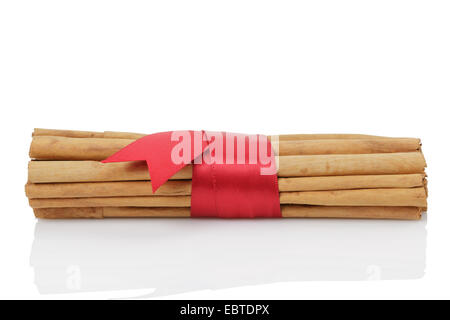 tied true ceylon cinnamon sticks, isolated on white background Stock Photo