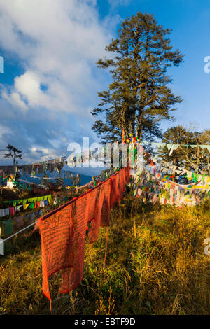 Colorful Preayer Flags strung at Dochula pass, Bhutan Stock Photo