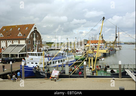 fishing boats and excursion boats in the harbour, Netherlands, Texel, Oudeschild Stock Photo
