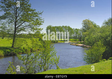 river Hunte running through a pictoresque summer meadow landscape at the level of Astrup, Germany, Lower Saxony, Oldenburger Land, Astrup (Wardenburg) Stock Photo