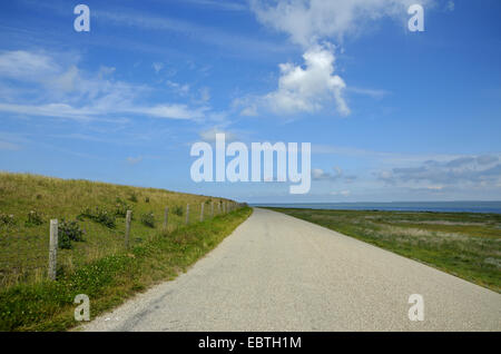 asphalt street on the dyke at the conservation area De Schorren, Netherlands, Texel, NSG De Schorren Stock Photo