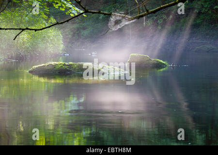 Scotch elm, Wych elm (Ulmus glabra, Ulmus scabra), quiet sunlit river with mossy rocks in the water, Germany, Saxony, Vogtland Stock Photo