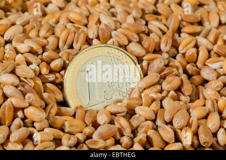 1 Euro coin in wheat grains Stock Photo
