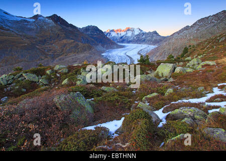 Great Aletsch Glacier and Wannerhorn mountain group, Switzerland, Valais Stock Photo