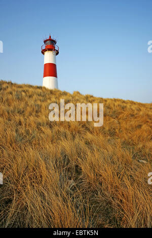 lighthouse List East in evening light, Germany, Schleswig-Holstein, Sylt, List Stock Photo