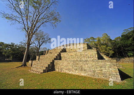 Mayan temple in  Copan, Honduras, Copan Stock Photo