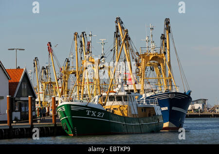 fishing ships in the harbour, Netherlands, Northern Netherlands, Netherlands, Texel Stock Photo