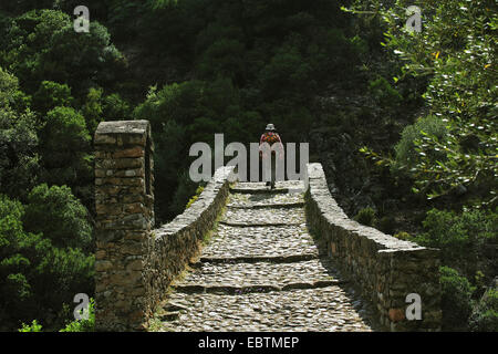 stone bridge called Ponte Vecchio over Spelunca river, France, Corsica Stock Photo