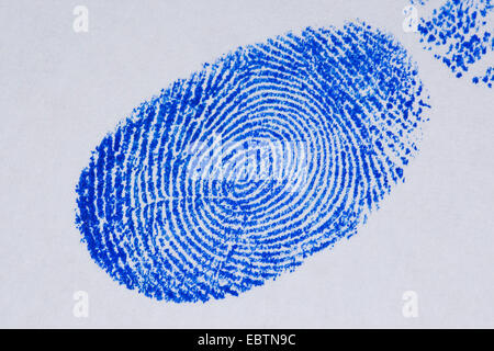 fingerprint fixed with the ink of a stam pad Stock Photo