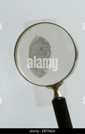 fingerprint fixed with graphite viewn through a lense Stock Photo