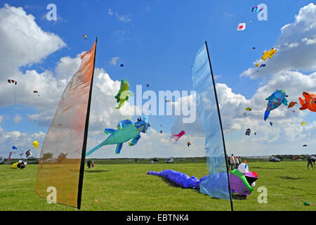 kites at flags at the kite festival in Schillig, Germany, Lower Saxony, Frisia, Wangerland Stock Photo