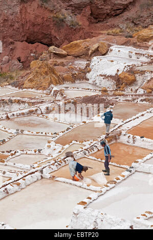 workers collecting salt in the salt pans Salinas De Maras, Peru, Maras Stock Photo